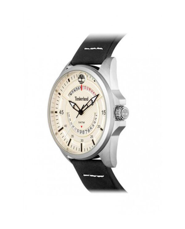 Black Silver Lakeville